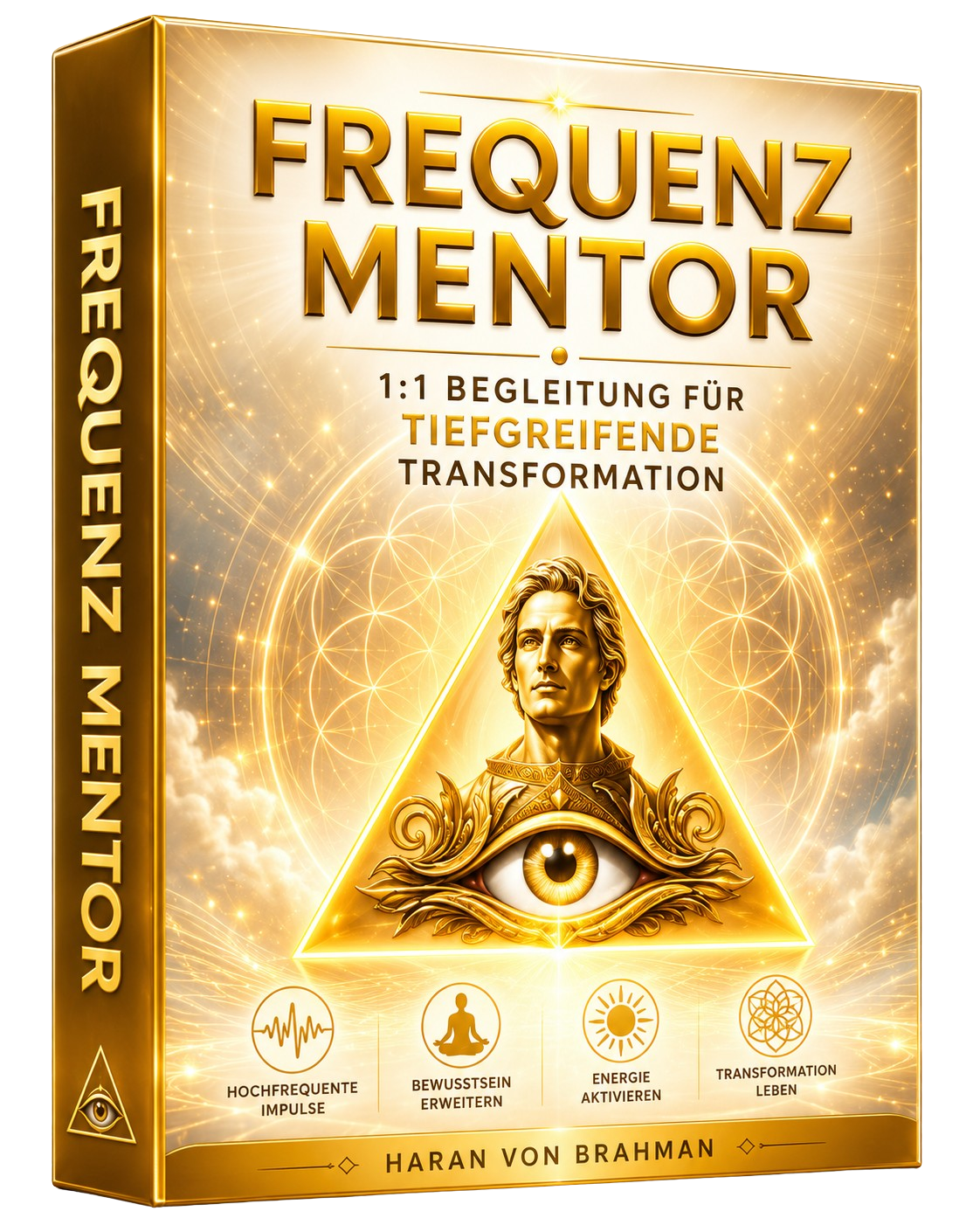 Frequenz Mentor Programm Mockup